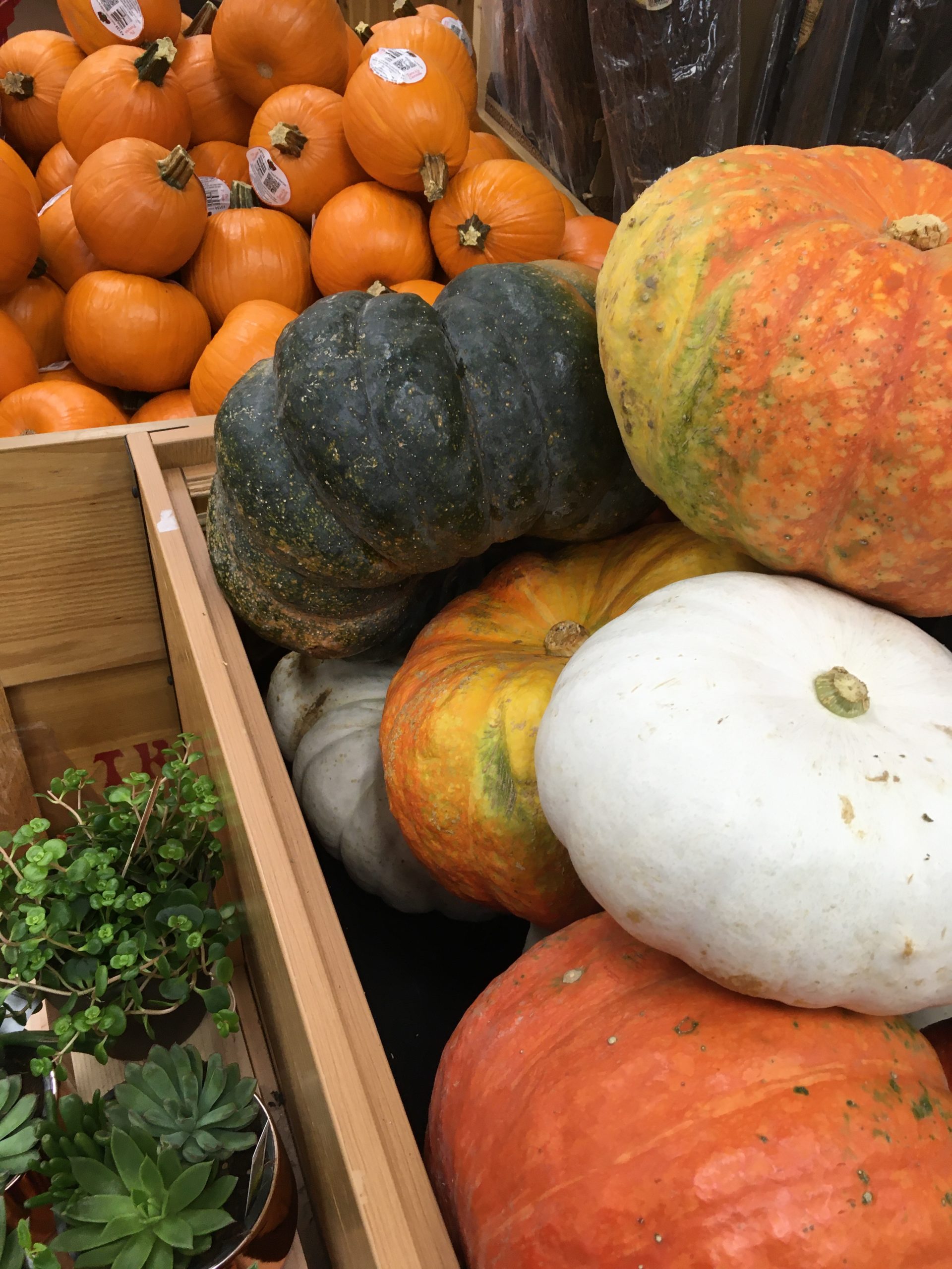 Trader Joe’s Weekly Ad November, Thanksgiving 2021 Fearless Flyer Trader Joe's Reviews