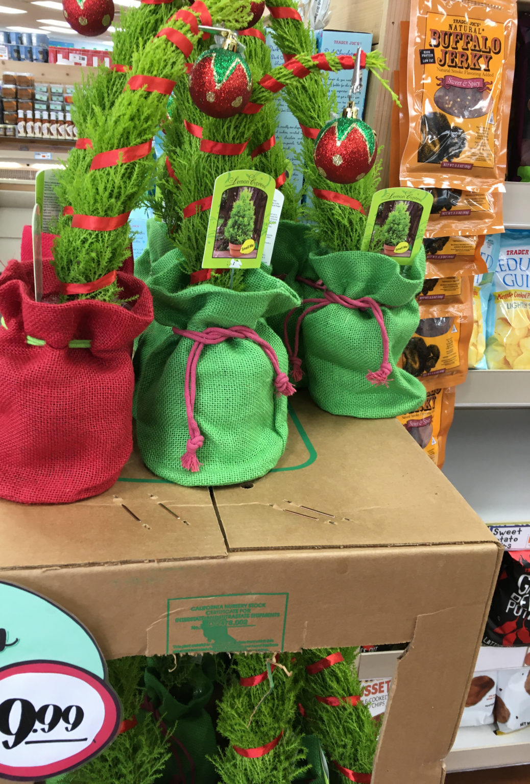 What Plants Does Trader Joe's Sell at Charlene Anderson blog