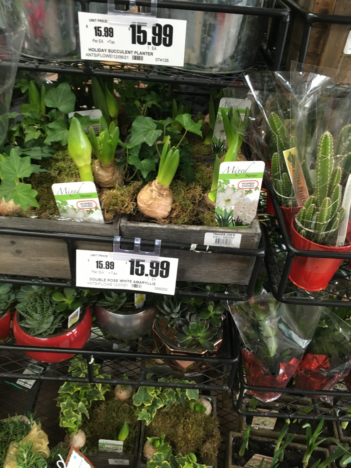 Trader Joe's Plants Trader Joe's Reviews